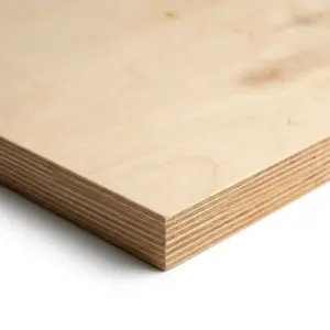 FP-0049-2